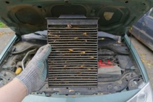 Auto,Mechanic,In,Gloves,Holds,An,Old,Dirty,Clogged,Car - Meineke Massachusetts Meineke Car Care | Cabin Air Filter | South Attleboro MA